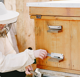 My Neighbor Has Bees, What's This Mean For Me? 